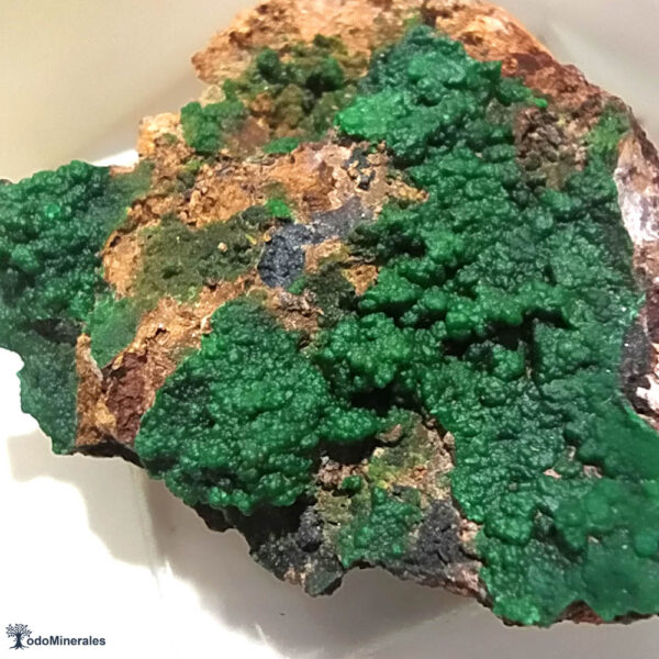 Conicalcita, Pastrana, Murcia, mineral de colección