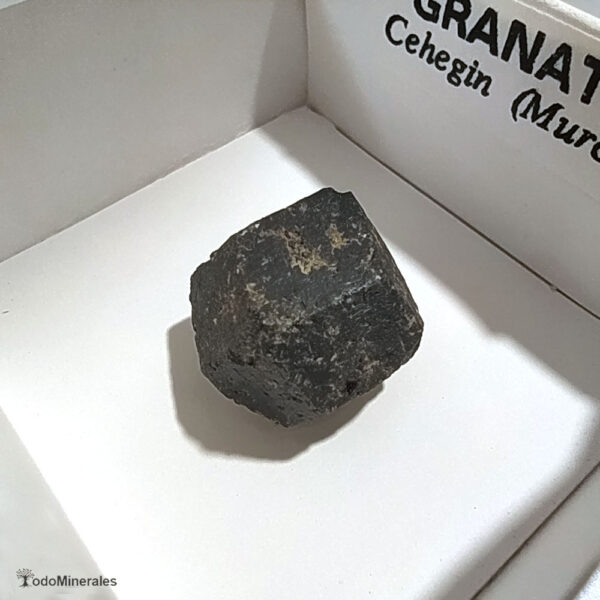 Granate Melanita, Cehegín Murcia, mineral de colección