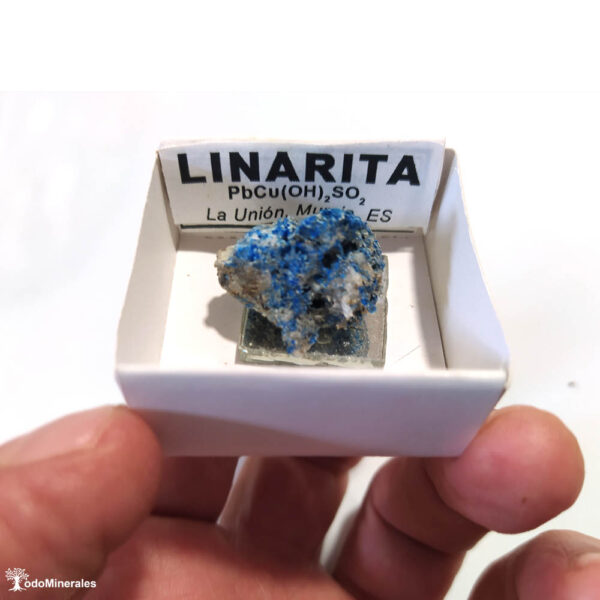 Linarita, Sierra de Cartagena, Murcia, mineral de colección