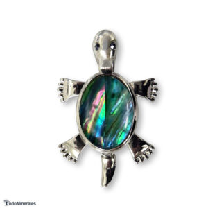 Colgante tortuga de nácar de abalón
